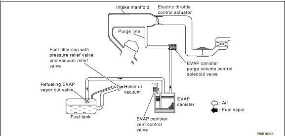 The evaporative emission system is used to reduce hydrocarbons emitted into