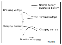 Specific gravity check